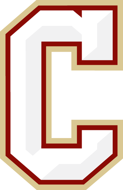 College of Charleston Cougars 2013-Pres Secondary Logo diy fabric transfer